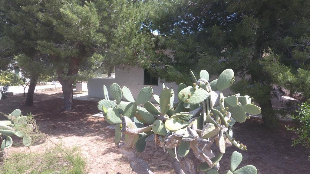 Appartamenti In Villa Senia Favignana Exterior foto